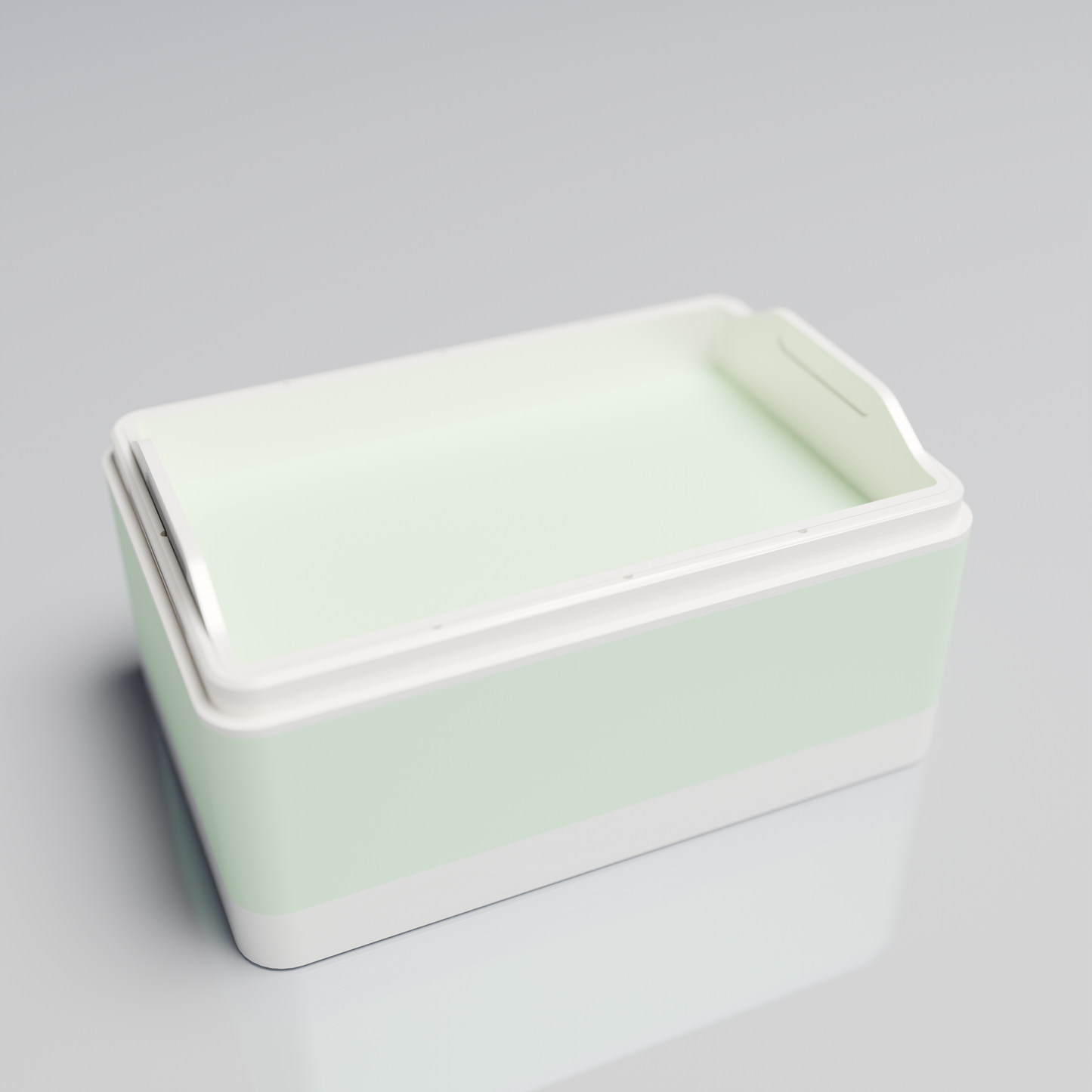 Bx15x10x8_SmallTray_PLAMint