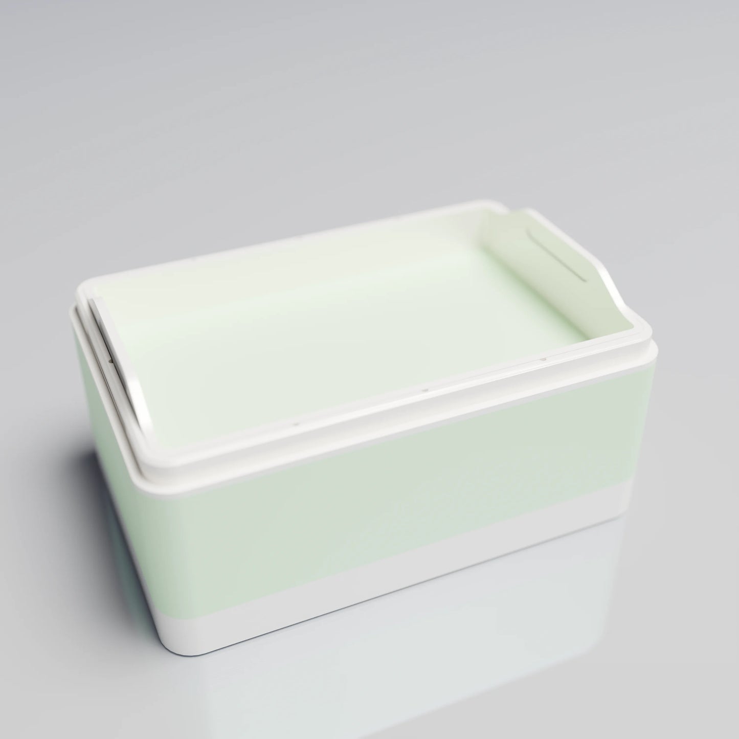Bx15x10x8_SmallTray_PLAMint