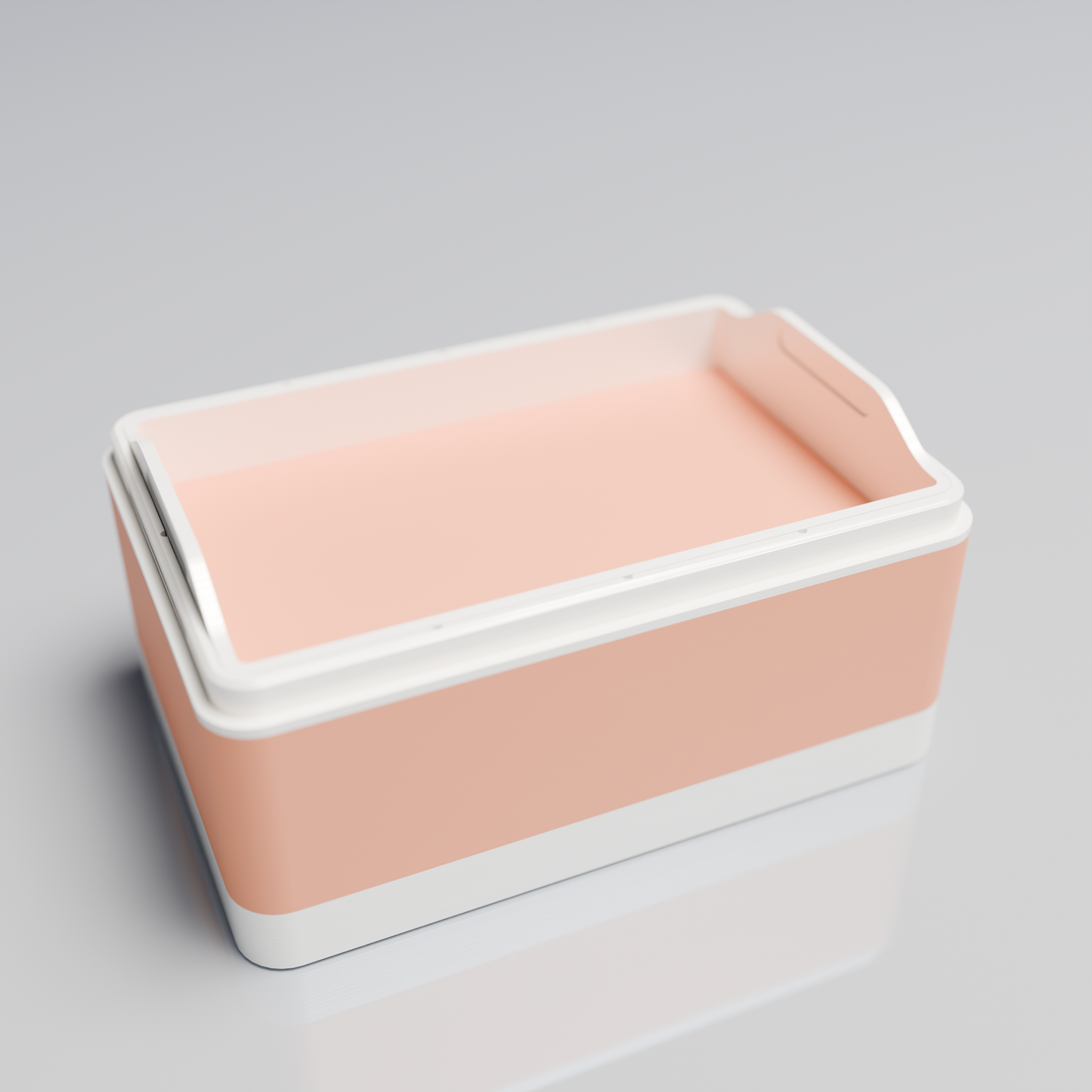 Bx15x10x8_SmallTray_PLAPeach