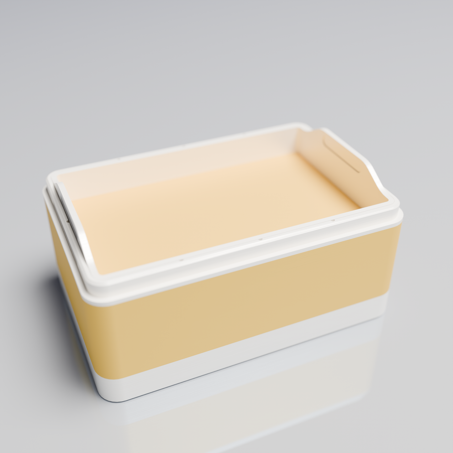 Bx15x10x8_SmallTray_PLASavannah