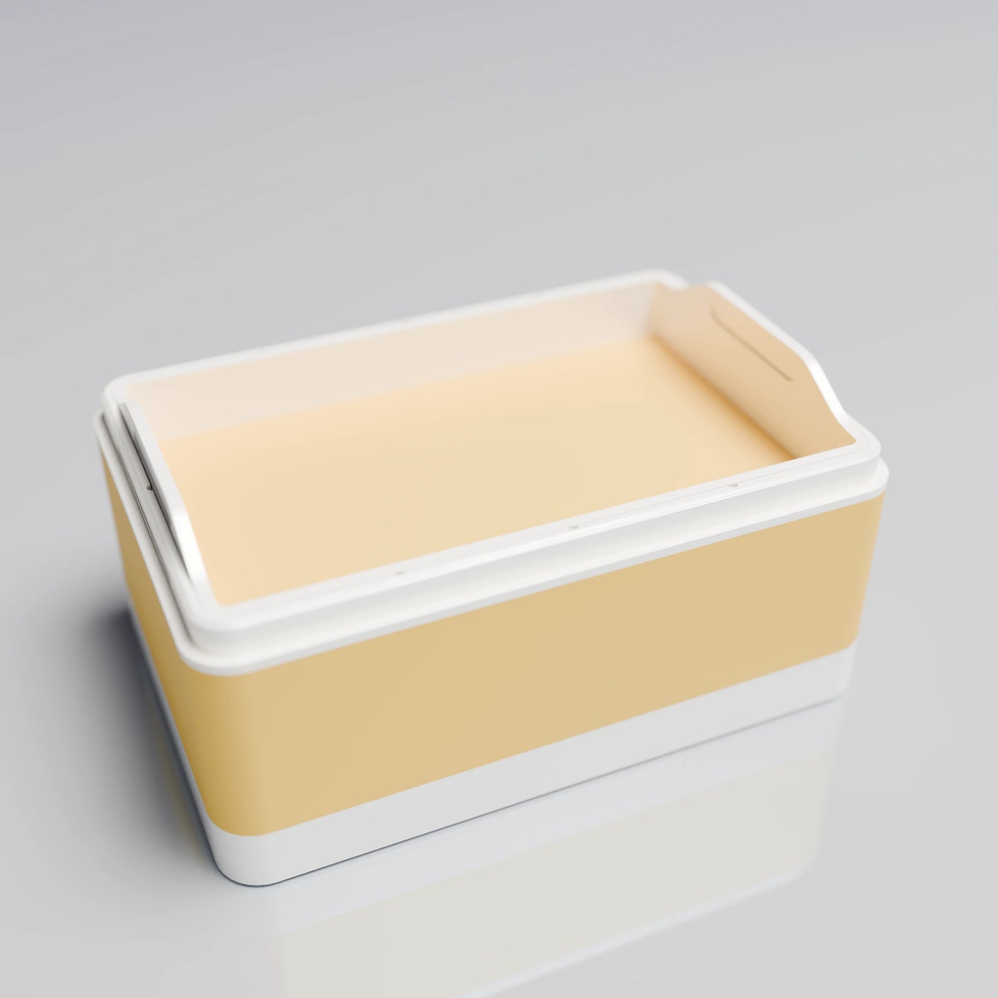 Bx15x10x8_SmallTray_PLASavannah