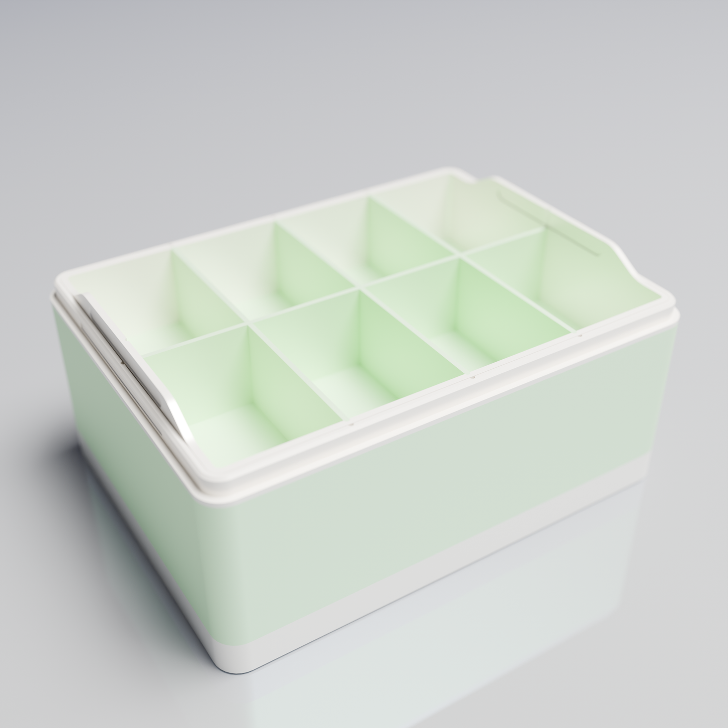 Bx20x15x10_BigTray_PLAMint