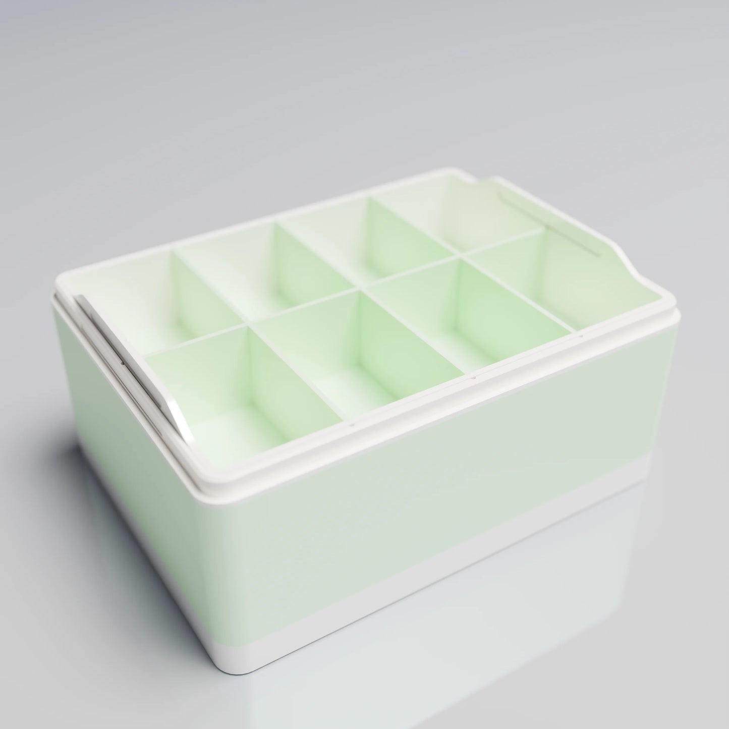 Bx20x15x10_BigTray_PLAMint