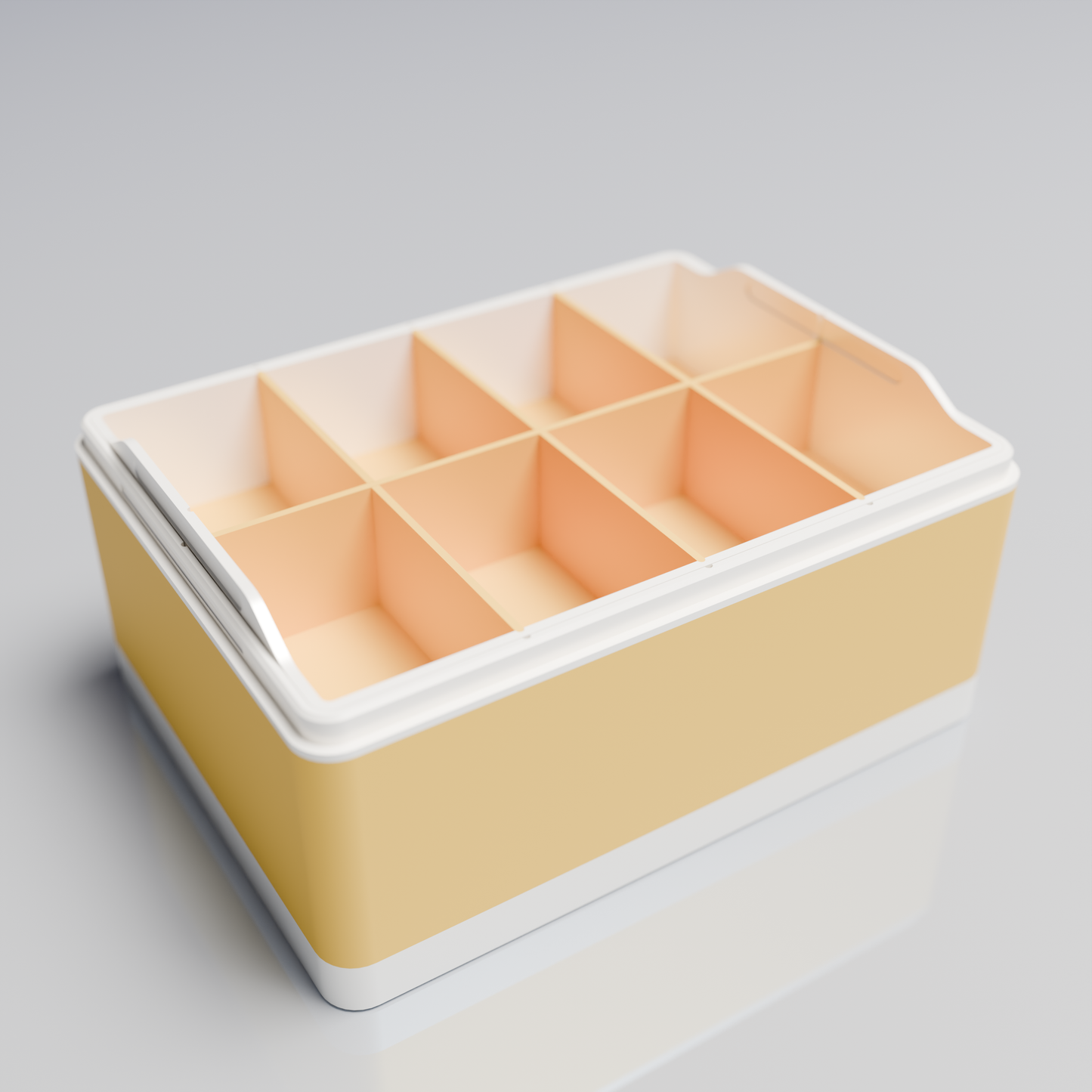 Bx20x15x10_BigTray_PLASavannah