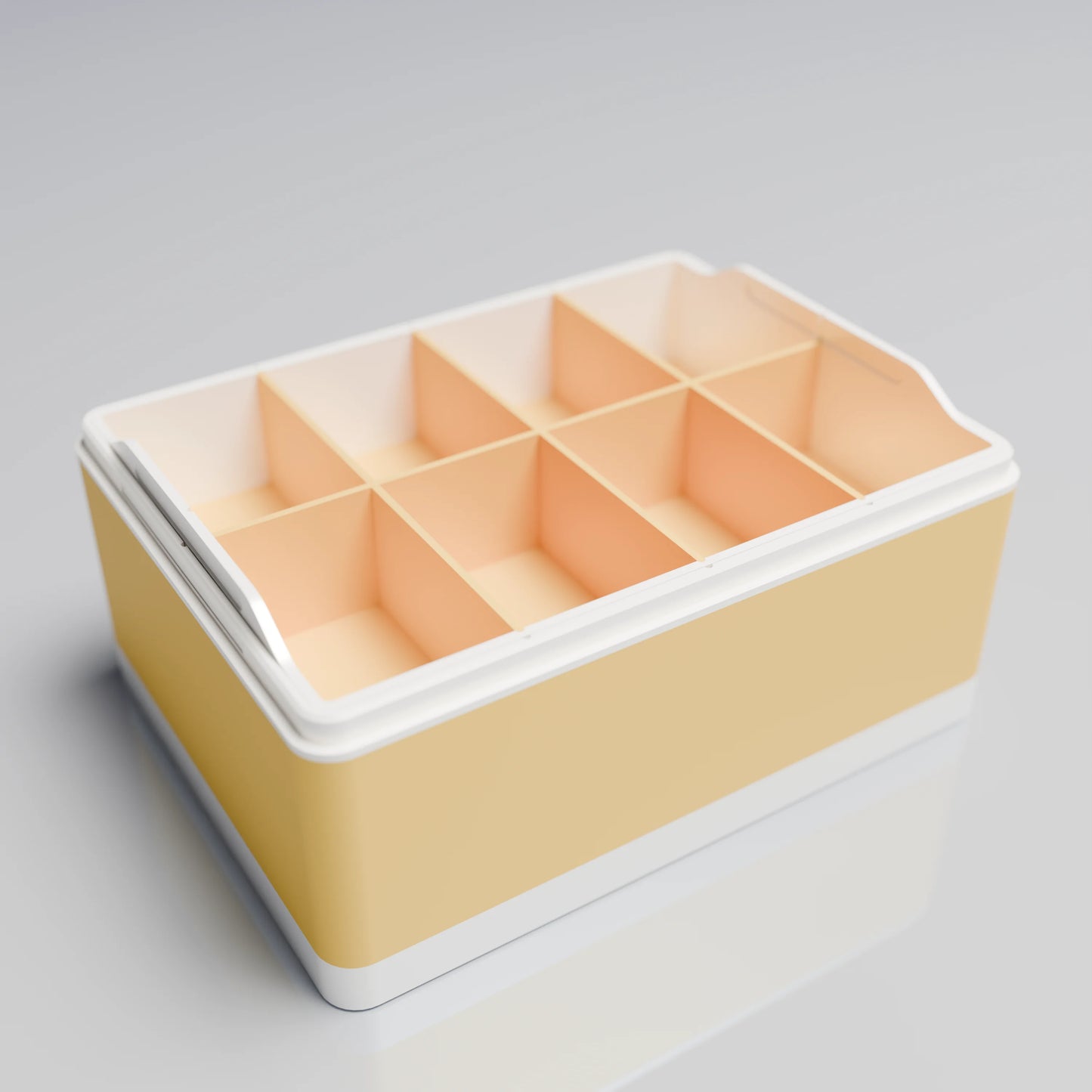 Bx20x15x10_BigTray_PLASavannah