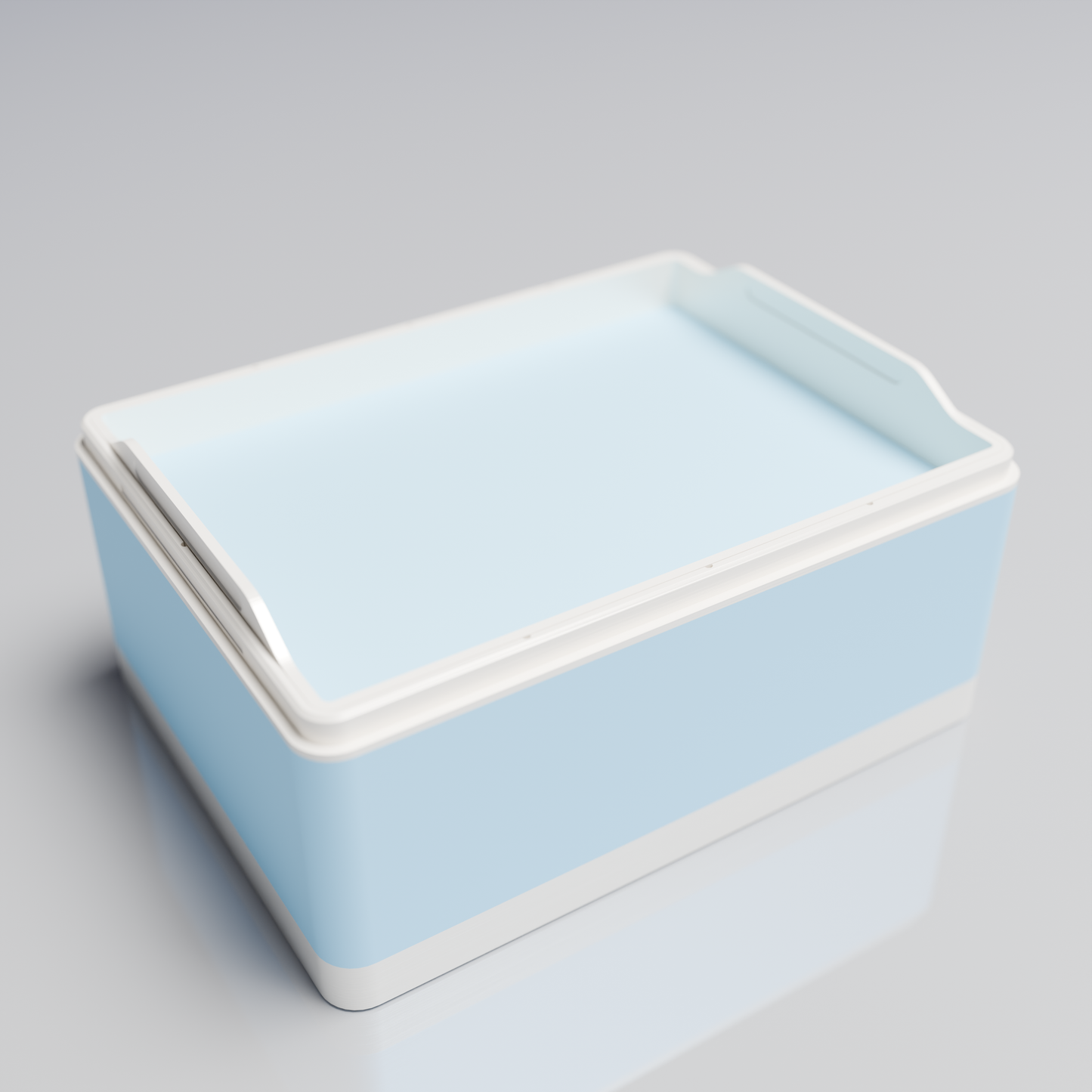 Bx20x15x10_SmallTray_PLAIce