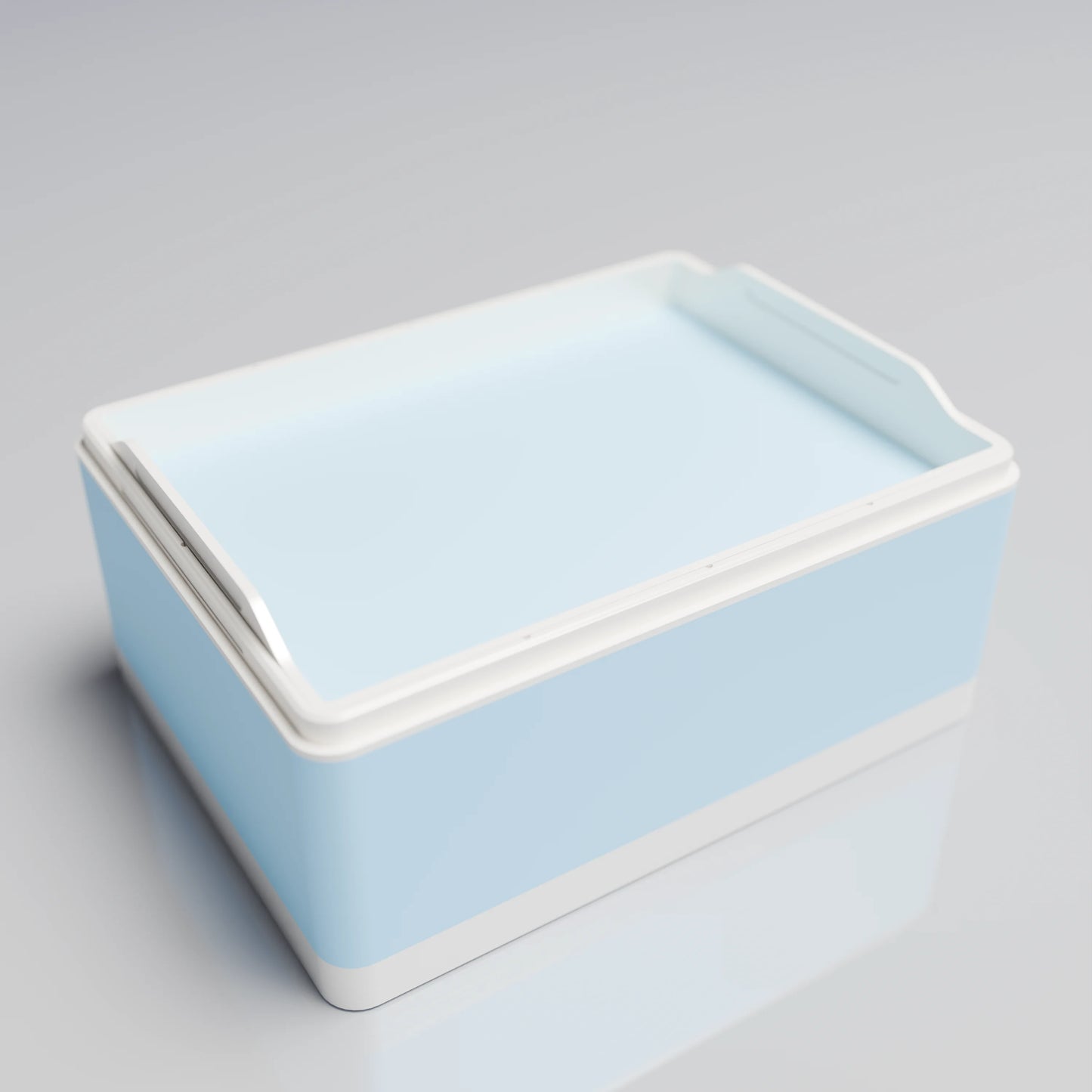 Bx20x15x10_SmallTray_PLAIce