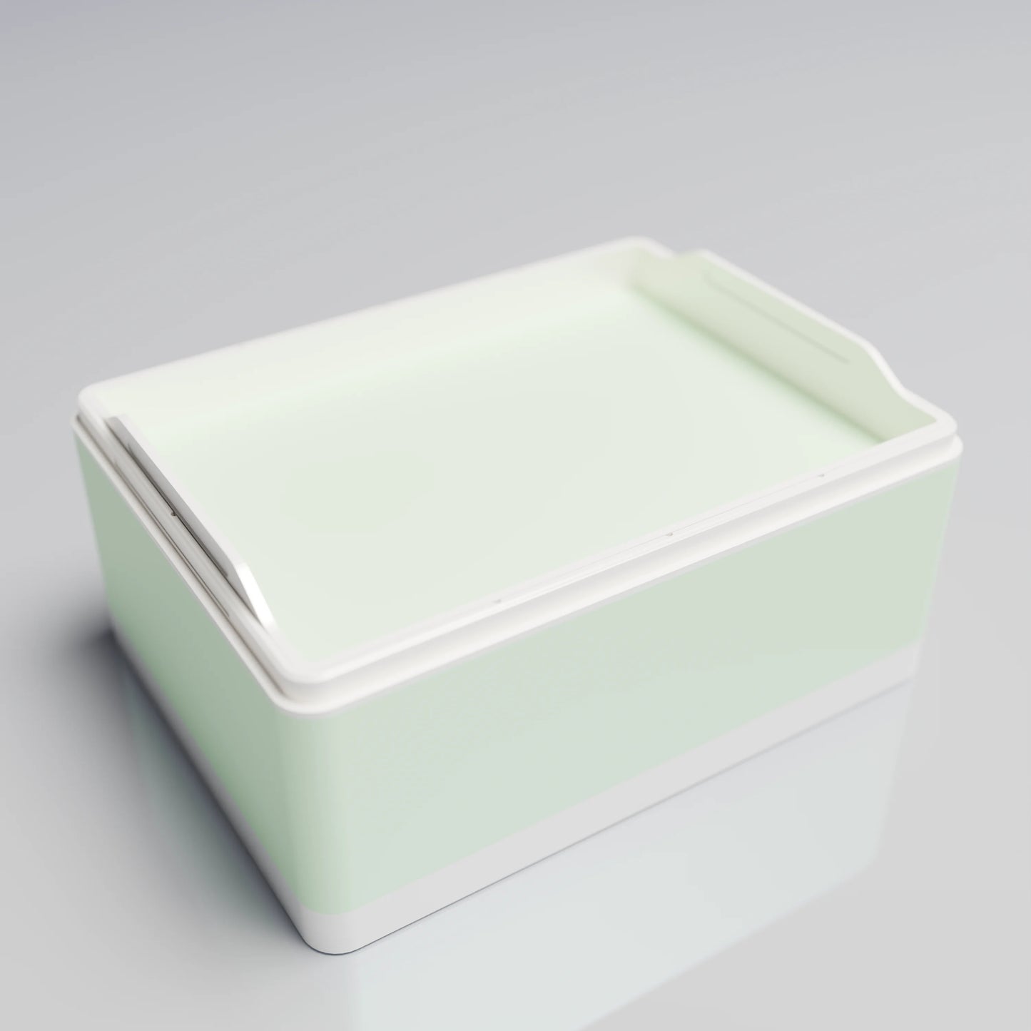 Bx20x15x10_SmallTray_PLAMint