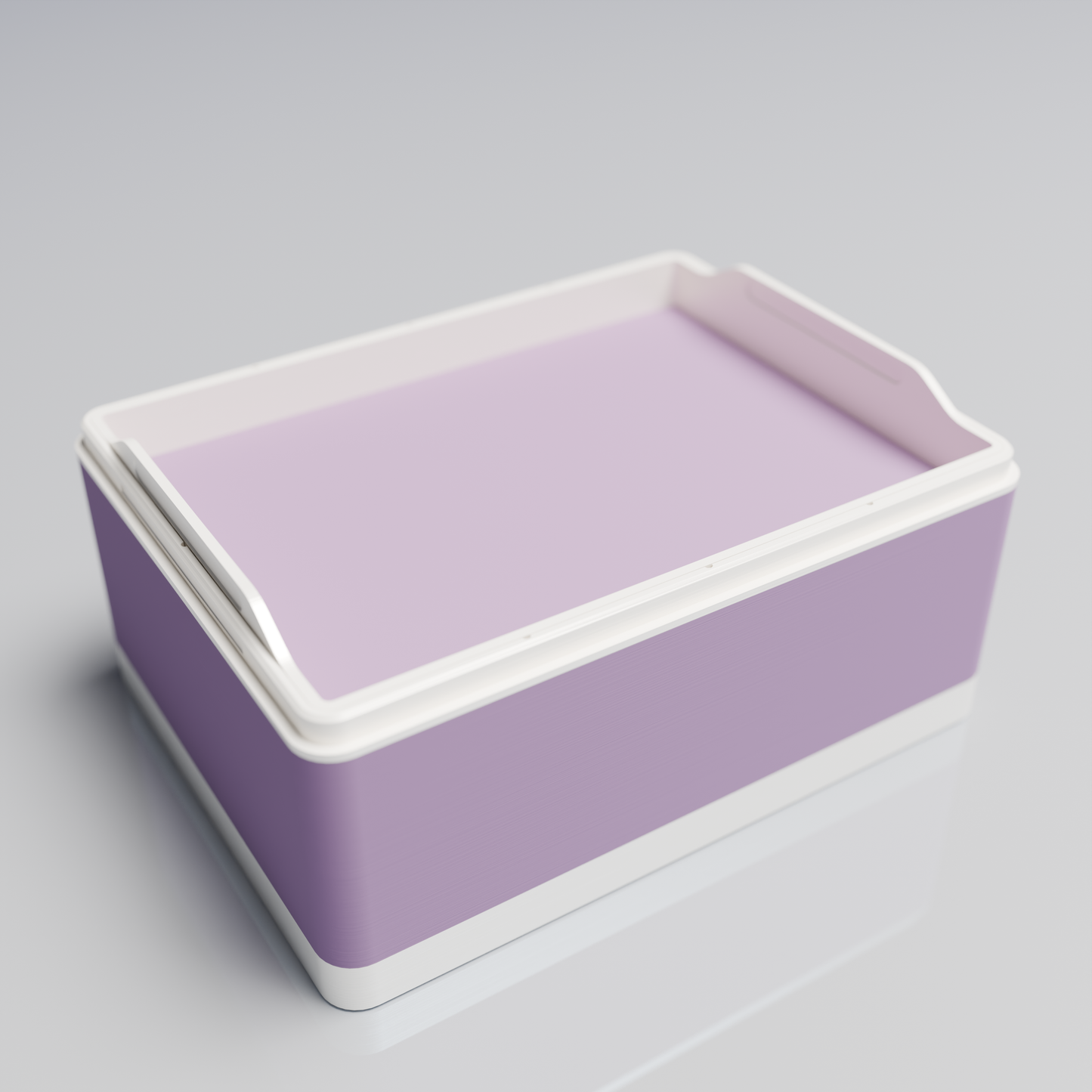 Bx20x15x10_SmallTray_PLAMutedPurple