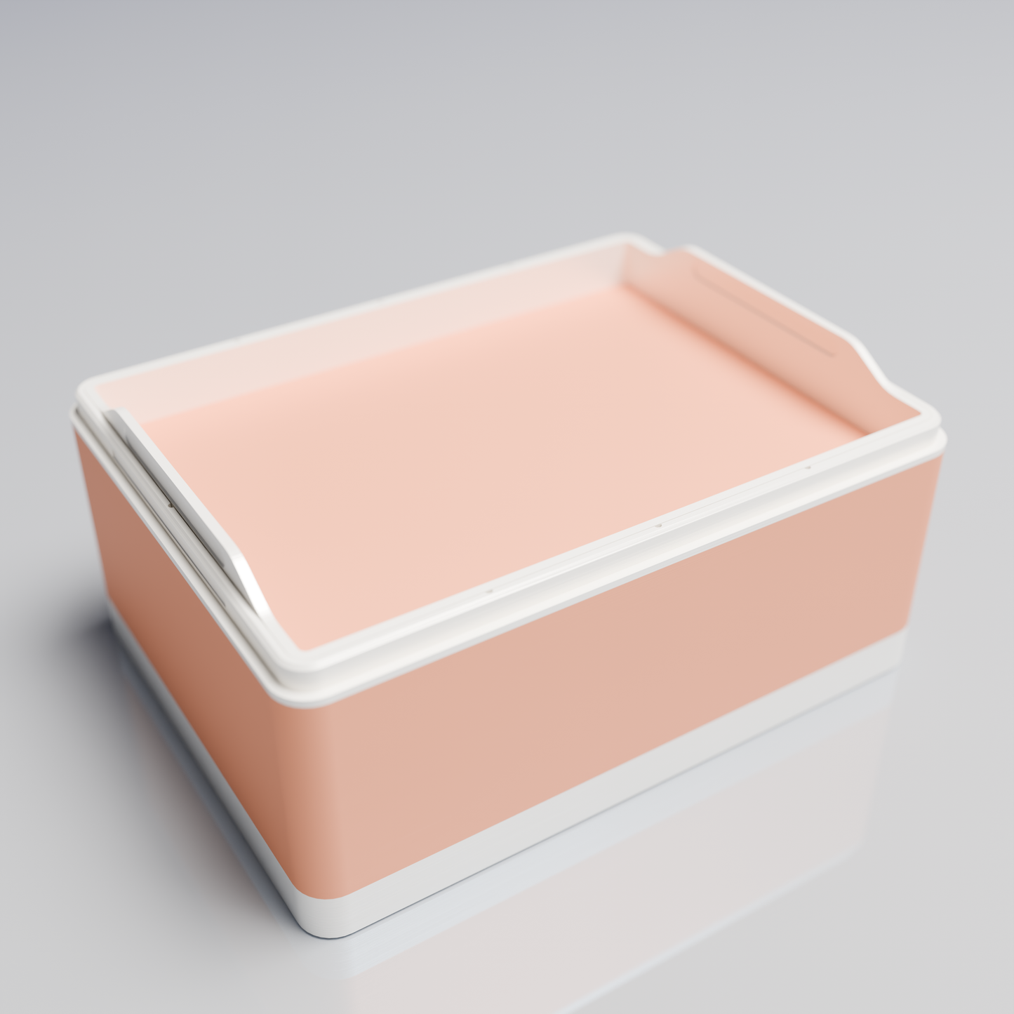 Bx20x15x10_SmallTray_PLAPeach
