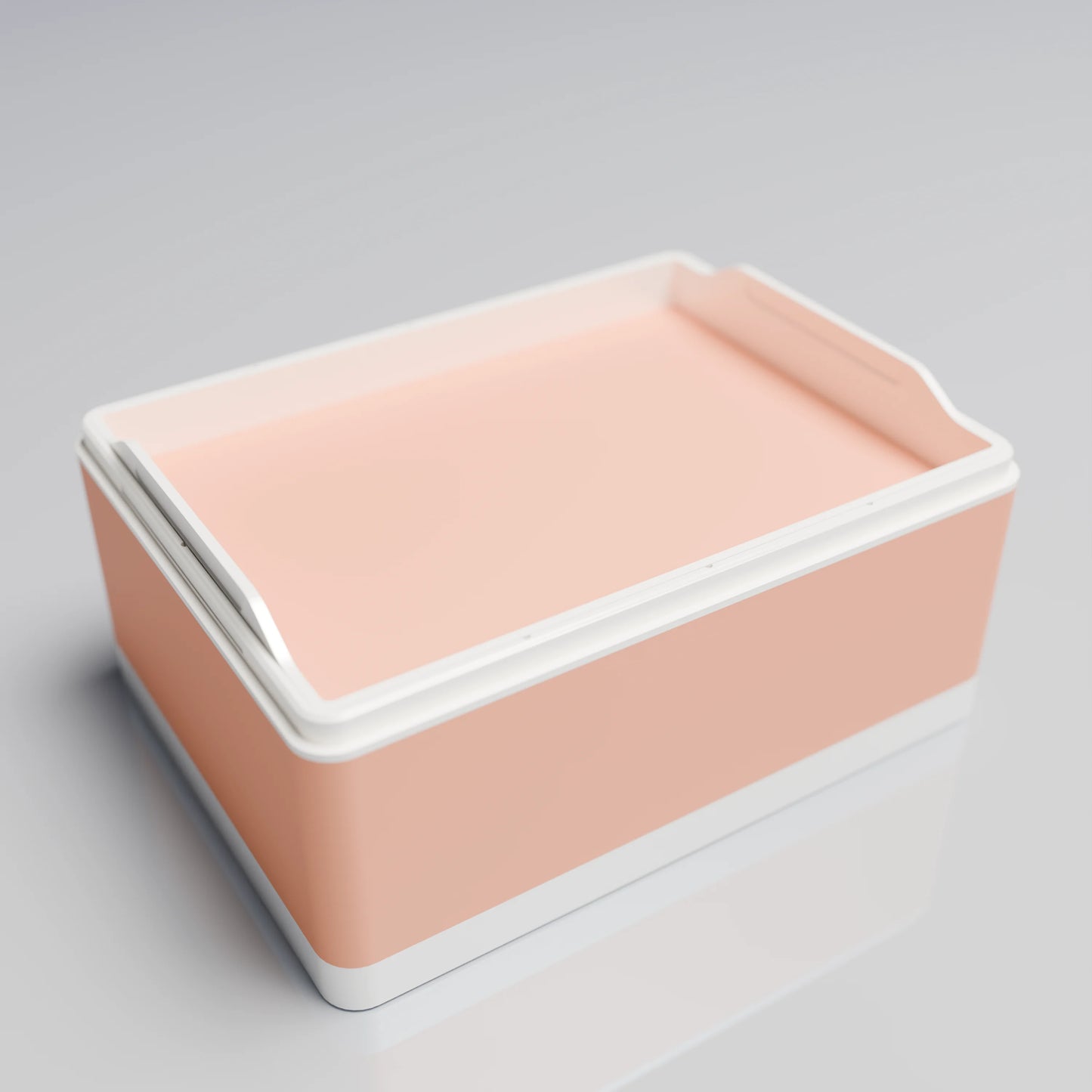 Bx20x15x10_SmallTray_PLAPeach