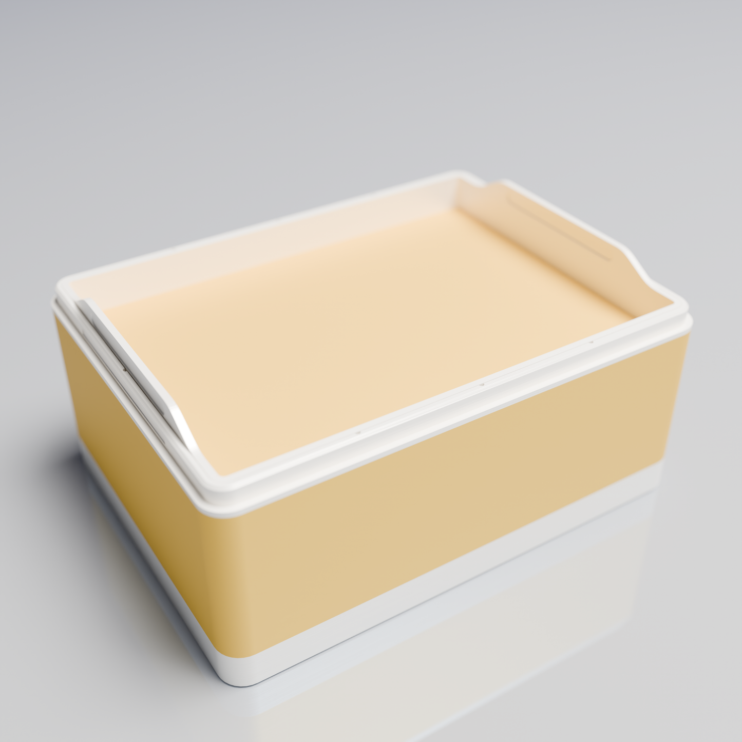 Bx20x15x10_SmallTray_PLASavannah