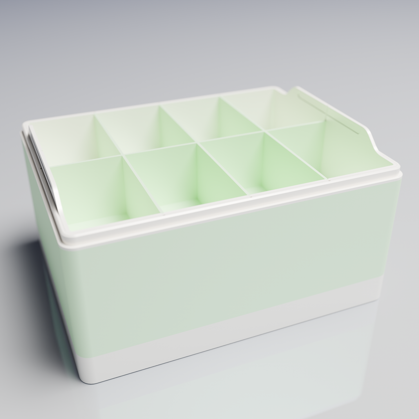 Bx25x20x14_BigTray_PLAMint