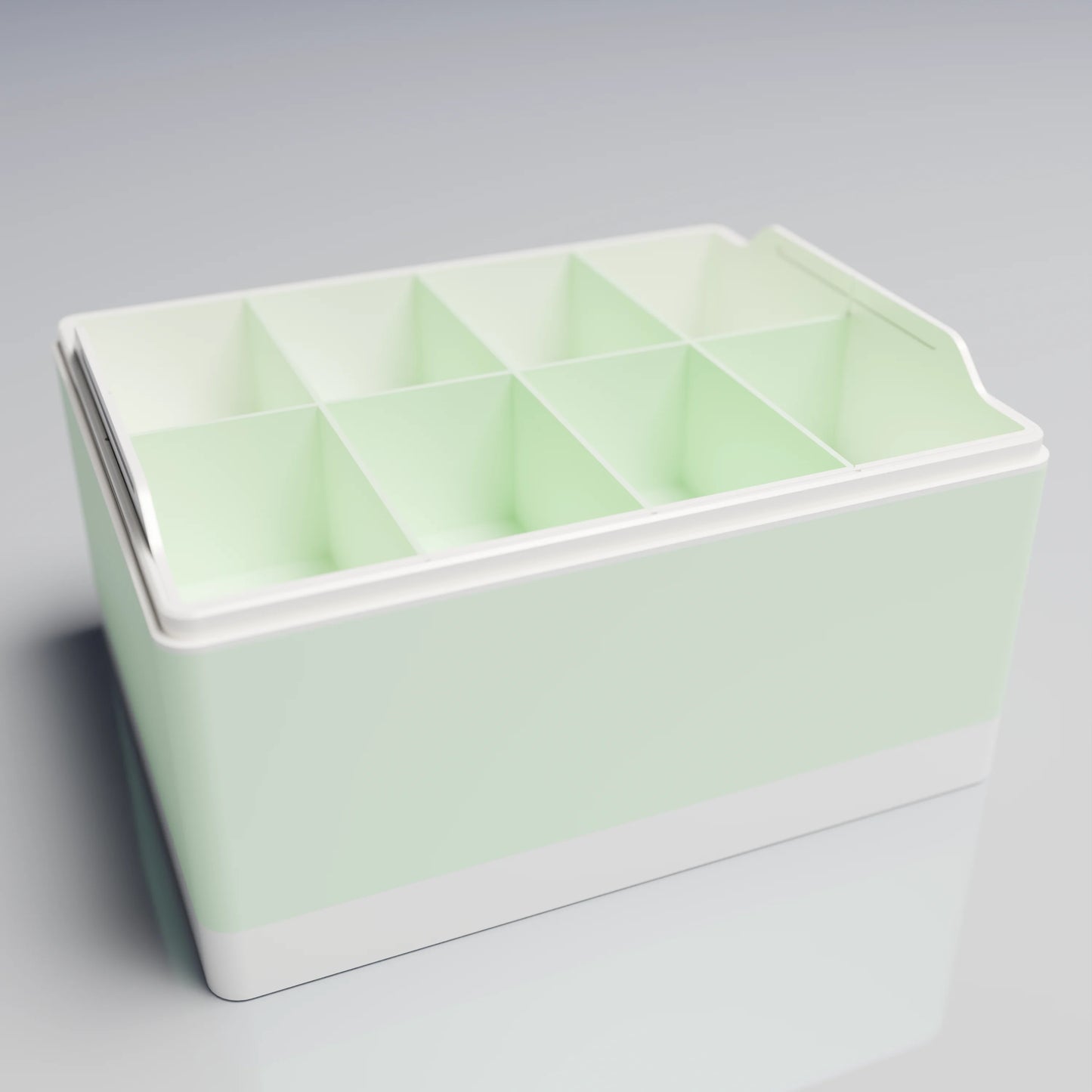 Bx25x20x14_BigTray_PLAMint