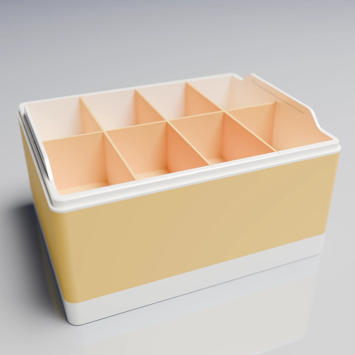 Bx25x20x14_BigTray_PLASavannah