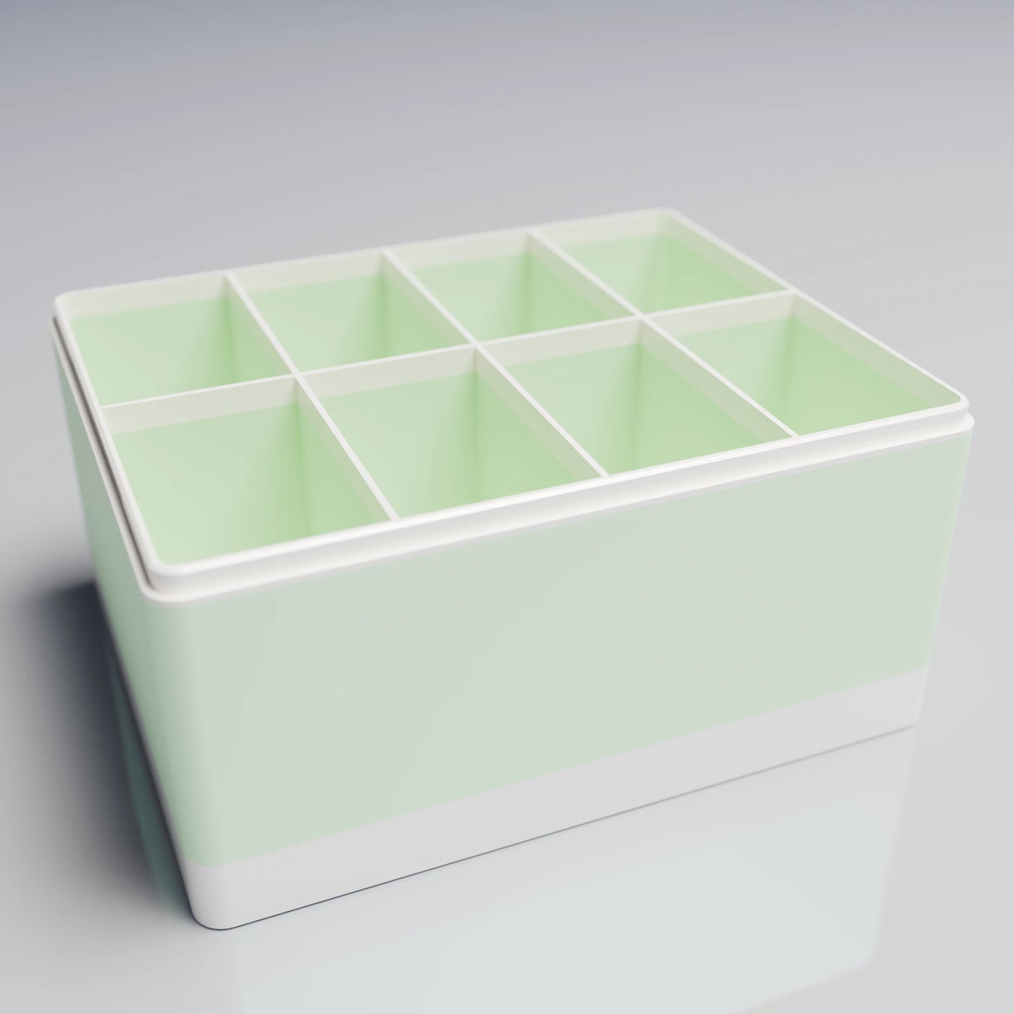 Bx25x20x14_NoTray_PLAMint