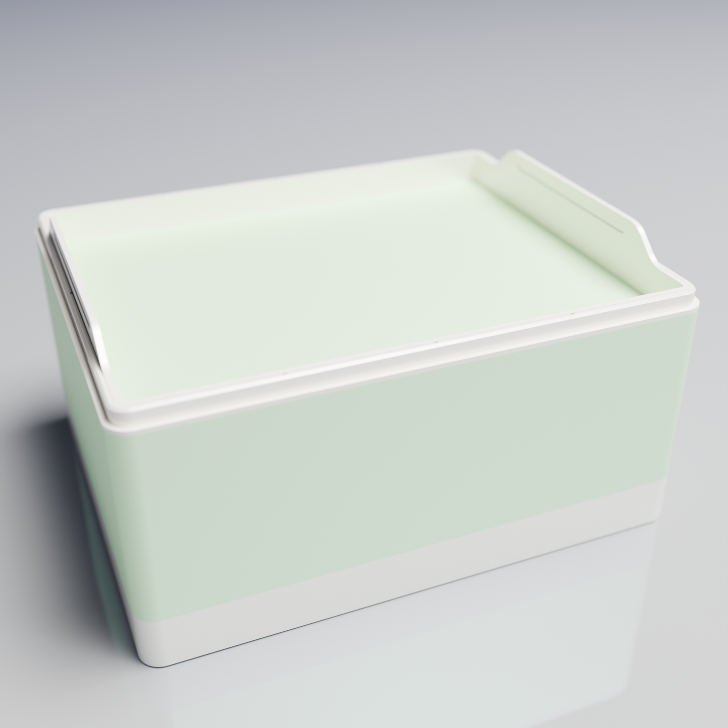 Bx25x20x14_SmallTray_PLAMint