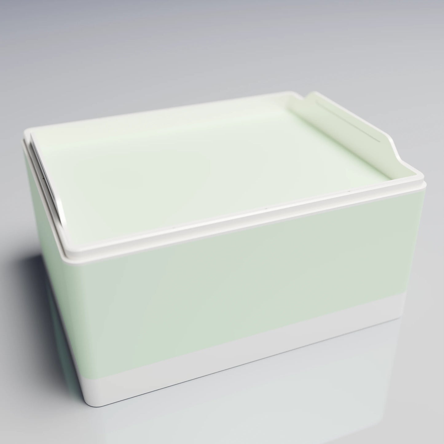 Bx25x20x14_SmallTray_PLAMint
