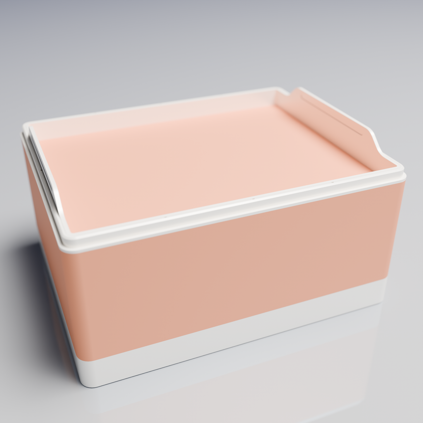 Bx25x20x14_SmallTray_PLAPeach