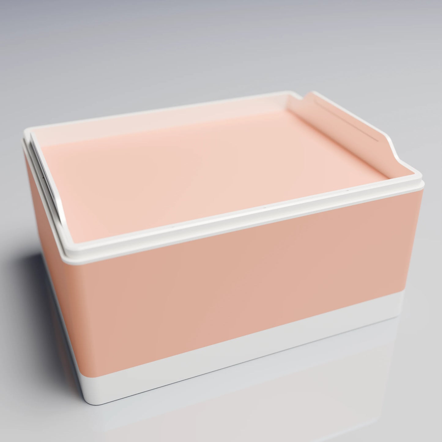 Bx25x20x14_SmallTray_PLAPeach