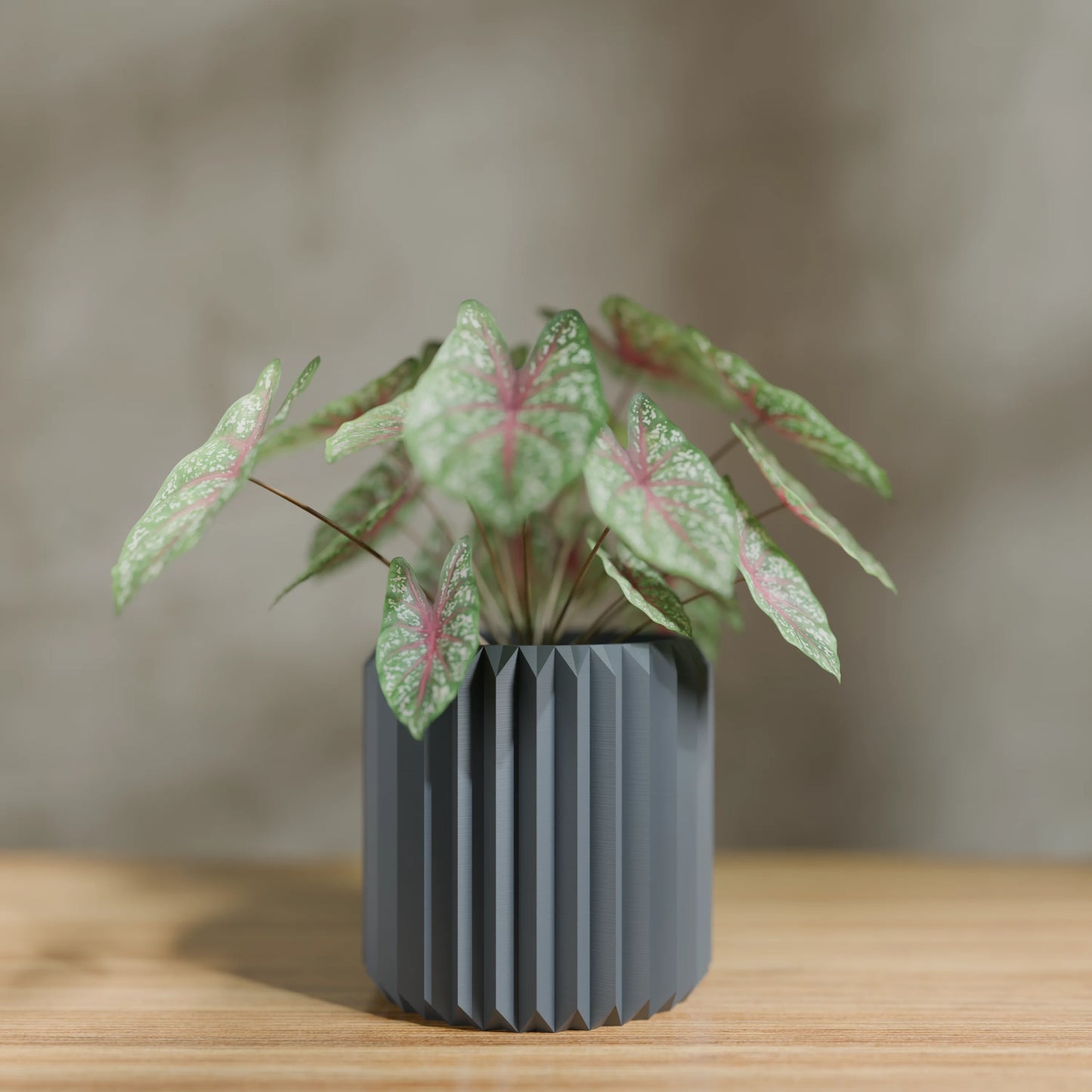 FpLinea15x15_PLAFossilGrey