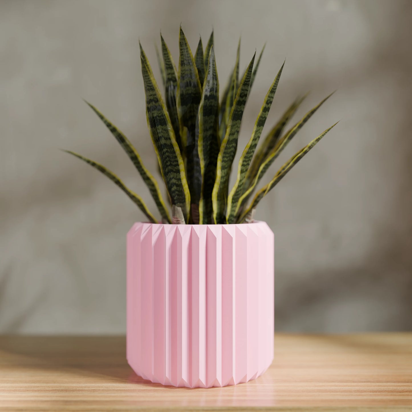 FpLinea25x25_PLACandy