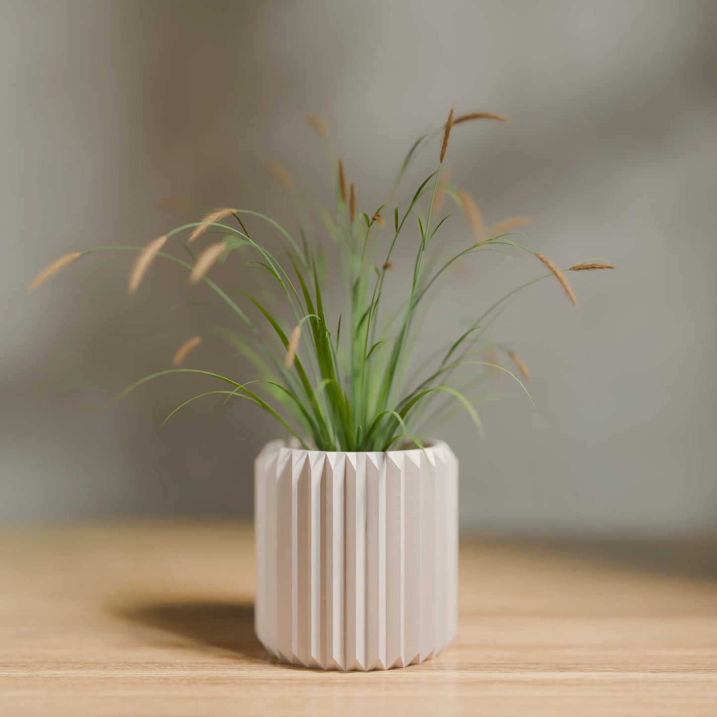 Pflanzentopf Linea mit vertikalen Rillen und einer Pflanze, 9x9 cm in Farbe Army Beige
