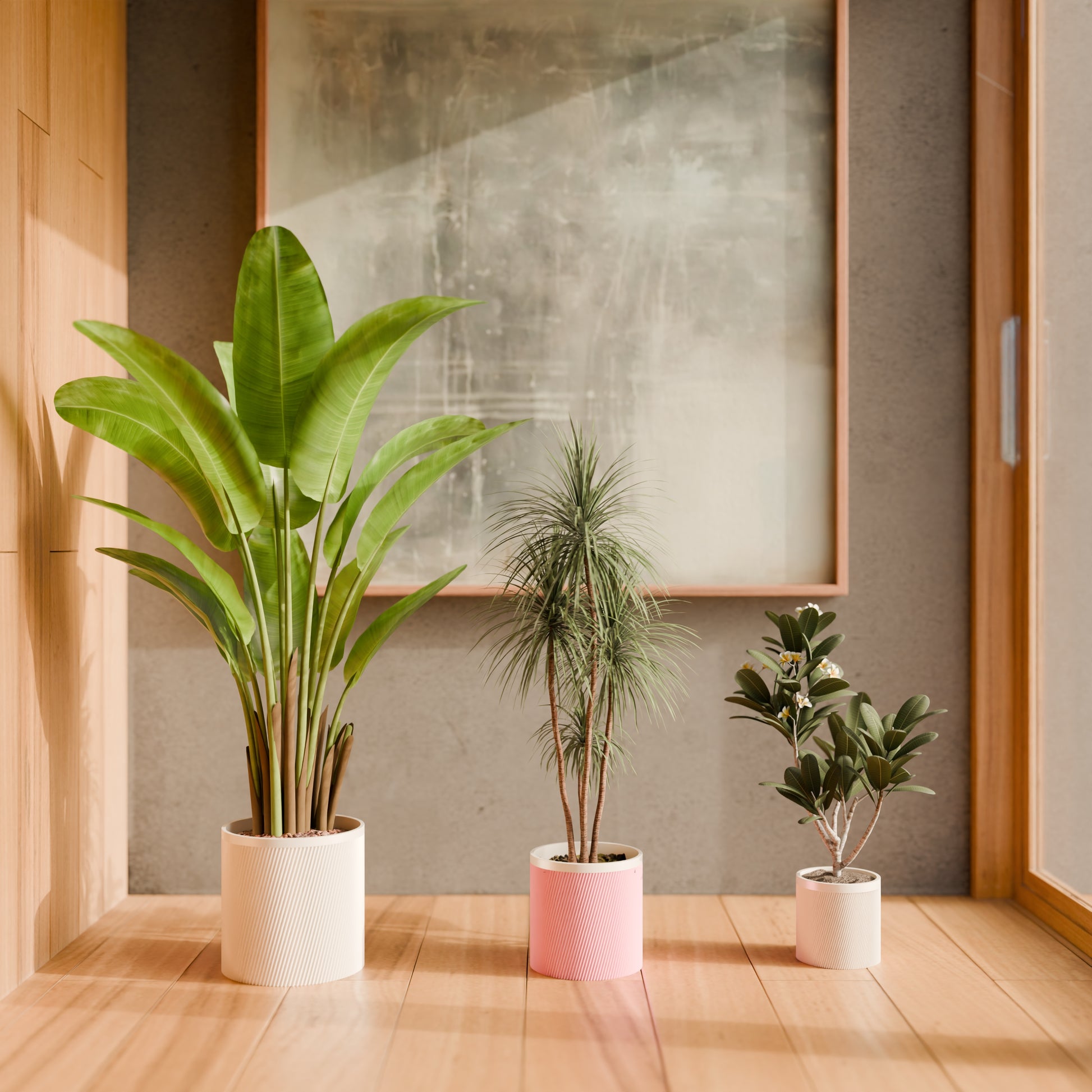 FpRoota20x20_PLACandy