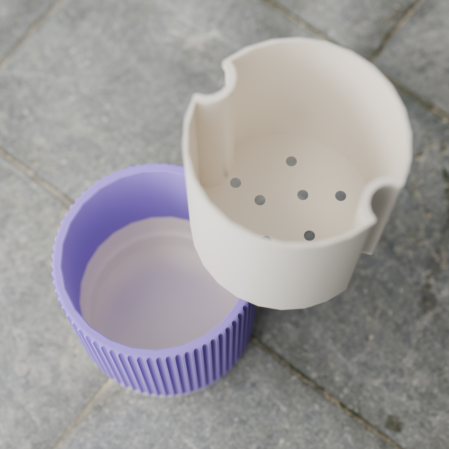 FpTacta15_PLAPeriwinkle