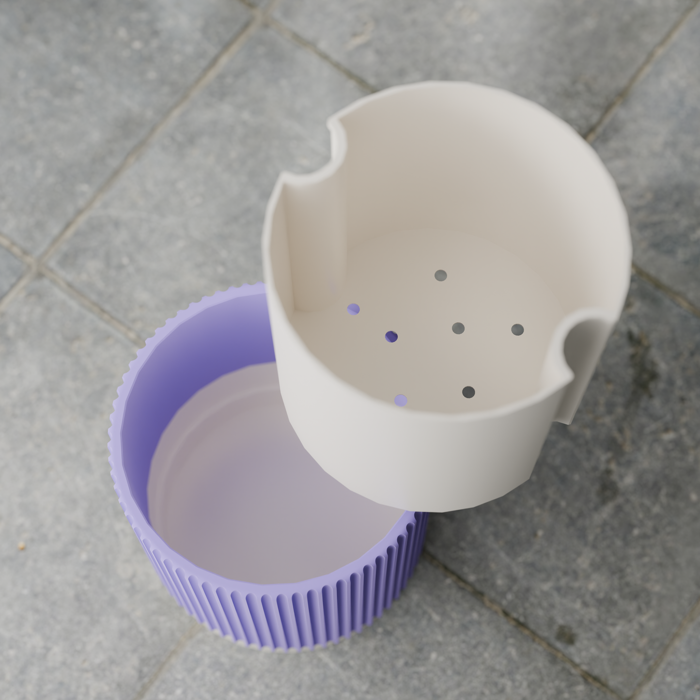 FpTacta20_PLAPeriwinkle