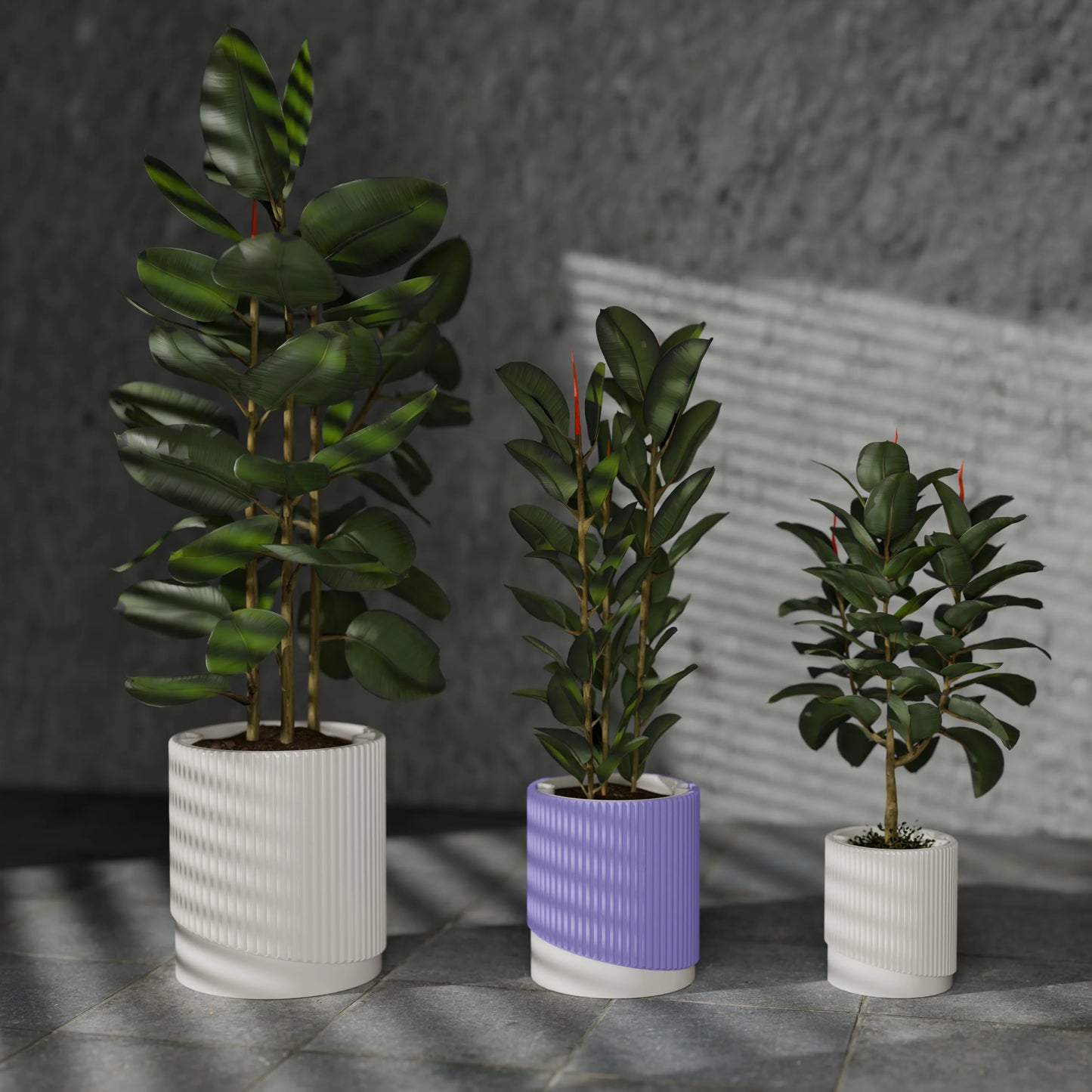 FpTacta20_PLAPeriwinkle
