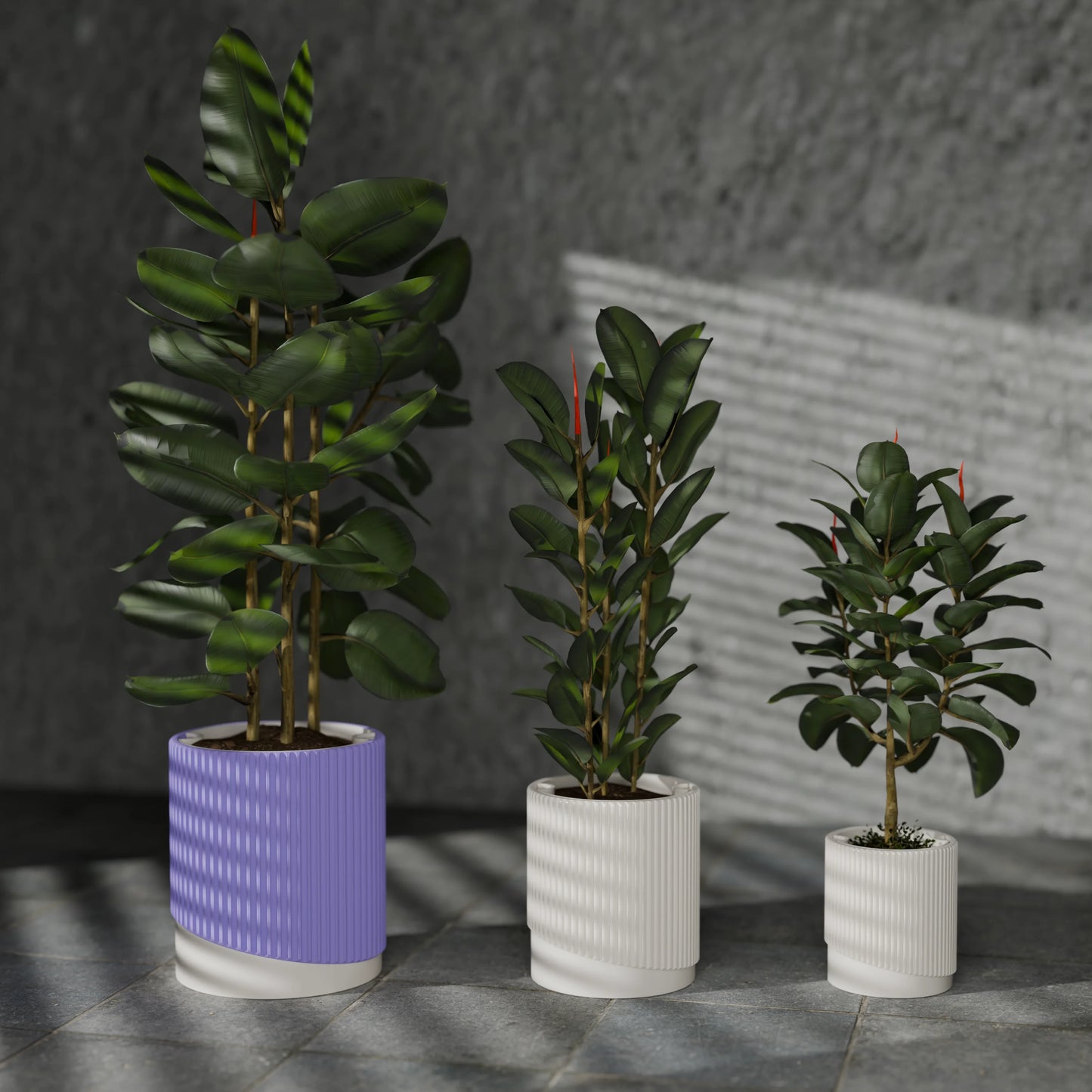 FpTacta25_PLAPeriwinkle